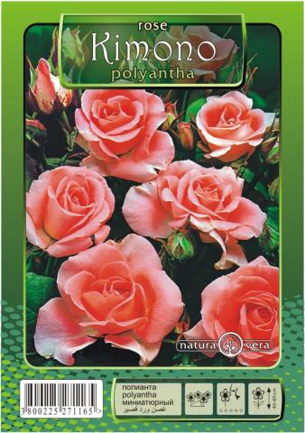 Хибрид Чаена роза 80-120см., микс, снимка 7 - Рози