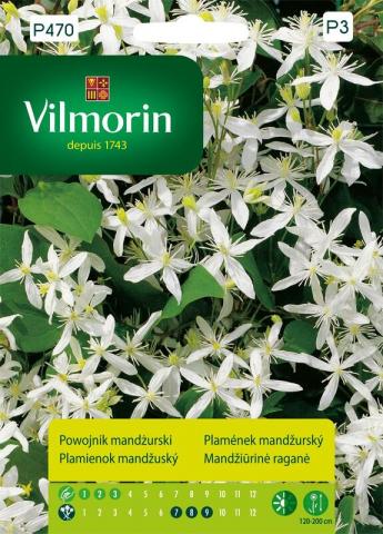 Вилморин семена Манджурски Клематис - Семена за цветя