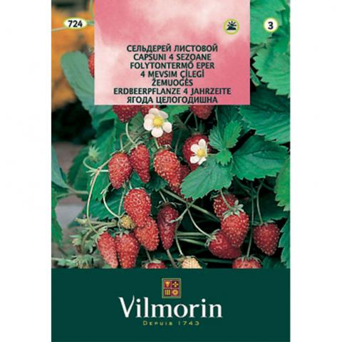 Ягода целогодишна - Вилморин - Семена за плодове и зеленчуци