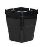 Пепелник ветроустойчив квадрат