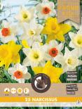 Луковици Нарциси Large flowering - mixed 25бр.