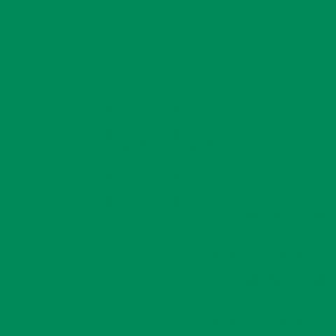 Емайллак Аквис 0.65л, изумрудено зелено - Бои за метал