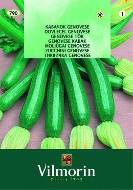 Тиквички - Вилморин - Семена за плодове и зеленчуци