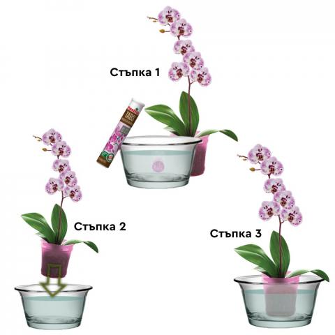 Тор Plantella на таблетки за орхидеи, снимка 2 - Специални течни