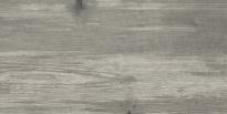 Гранитогрес Norwegia Grigio 31x62
