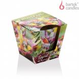 Свещ чаша Tutti frutti