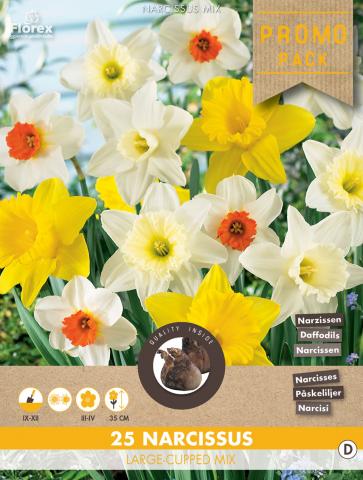 Луковици Нарциси Large flowering-mixed 25бр. 22907288 на топ цена ...