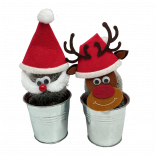 Кактус Santa Ф7.5см