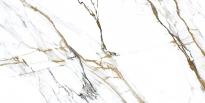 Гранитогрес Oikos 60x120 Gold