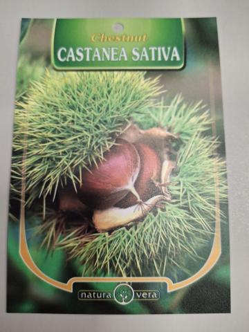 Плодно дръвче Кестен - Овошки и плодни храсти