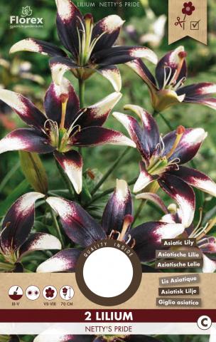 Луковици Pure Лилиум Netty s Pride 2бр. - Лилиуми