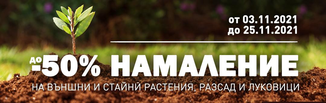 До -50% частично намаление на външни растения и разсад в магазини HomeMax 2021