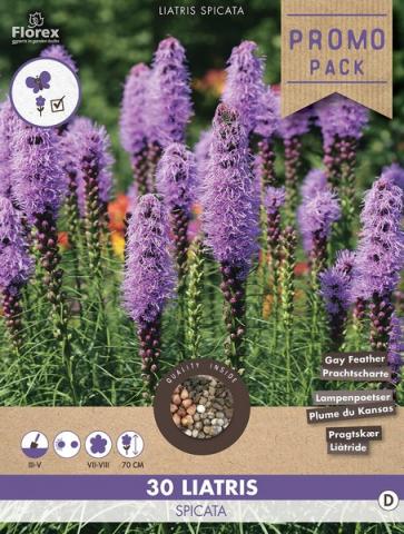Луковици Promo Лиатрис Spicata Blue 30бр. - Специалитети