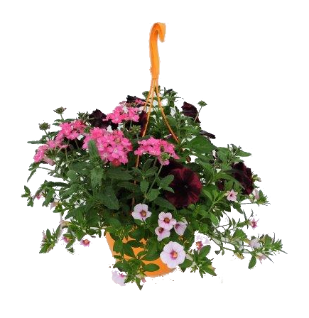 Трикси микс ф25см - Пролетни балконски цветя