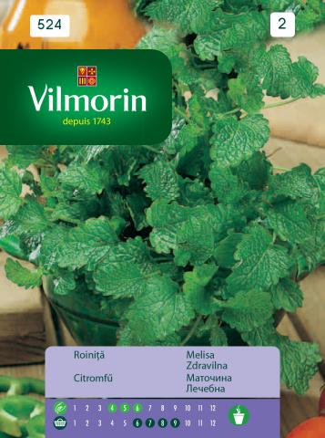 Маточина лечебна - Вилморин - Семена за цветя