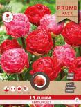 Луковици Лале Crimson Duet 15 бр.