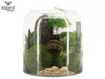 Терариум ф20 см H20 см микс
