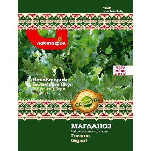 Български семена Магданоз Гигант - 5 гр. - Семена за билки и подправки