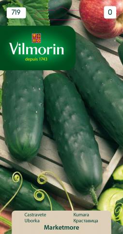 Краставица - Маркетер - Вилморин, снимка 2 - Семена за плодове и зеленчуци