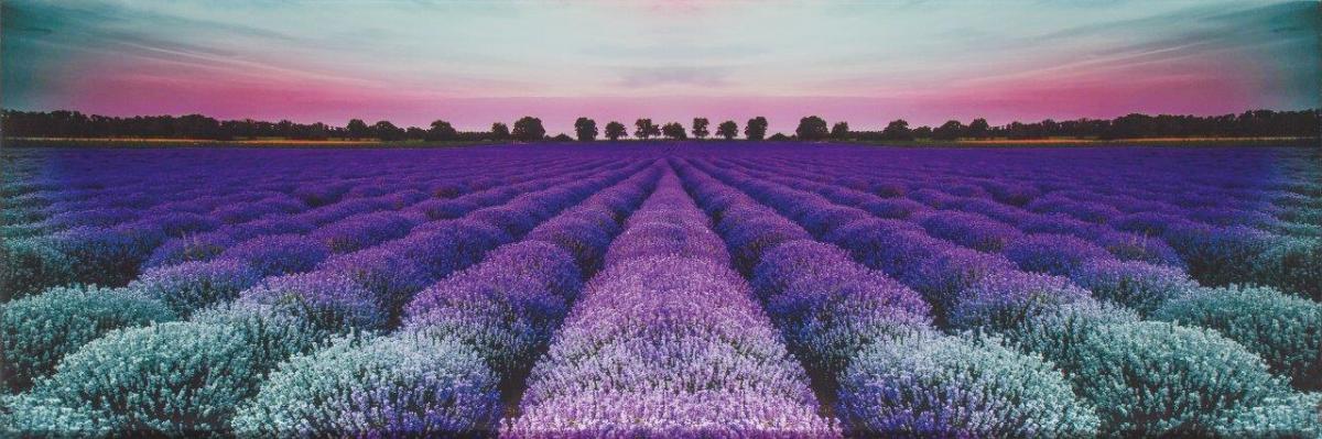 Декор Lavender Field Glass 25x75 - Декор