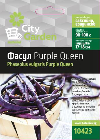 City garden семена фасул Purple Queen - Семена за плодове и зеленчуци
