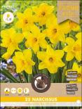 Луковици Нарцис Largecupped Yellow 25бр.