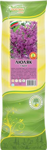 Люляк 3 броя в пакет - Листопадни храсти и дървета