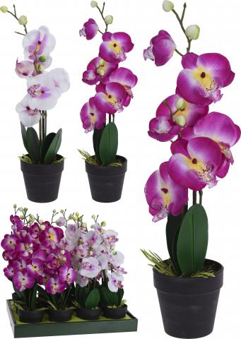 Орхидея в саксия 20х10х47см - Цветя в саксия