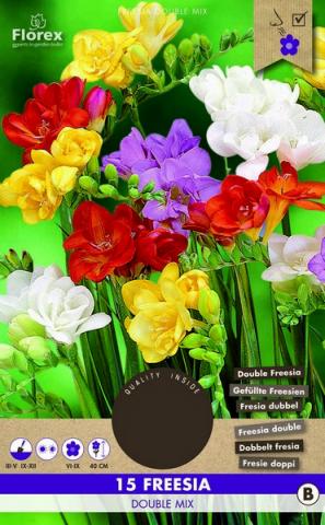 Луковици PURE Фрезия double mix, 15бр - Фрезии