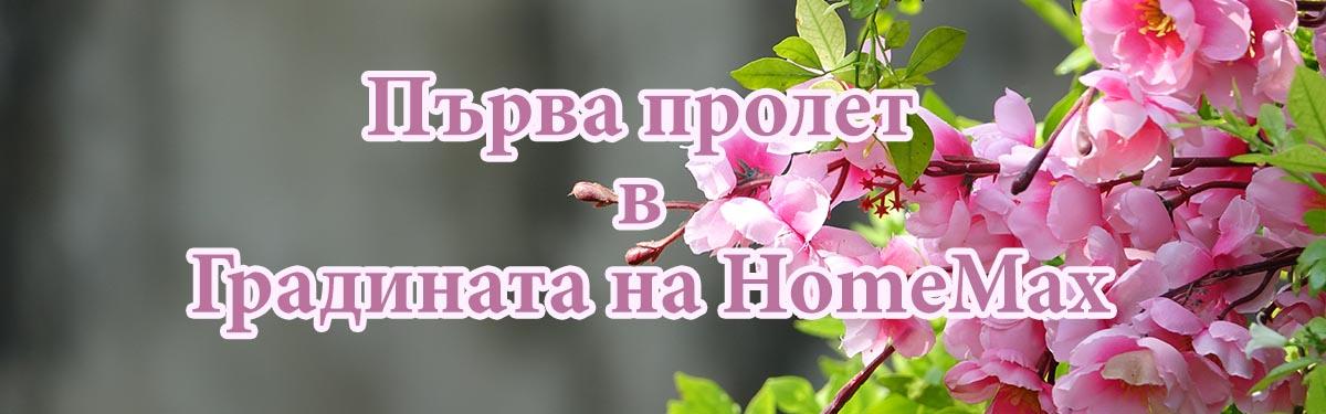 Първа пролет в Градината на HomeMax