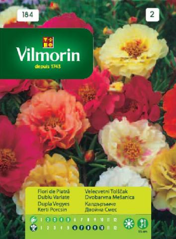 Калдъръмче двойна смес- Вилморин, снимка 2 - Семена за цветя