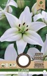 Луковици Лилиум Asiatic White 3бр