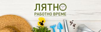 Лятно работно време 2025