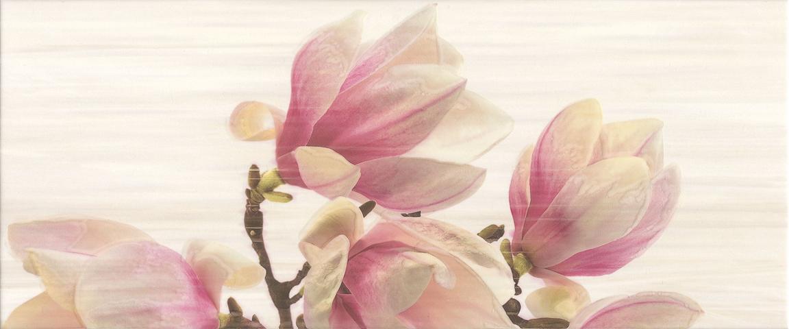 Декор Sensa Magnolia Bis 25x60 - Декор