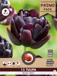 Луковици PP Лале Black Hero15бр.