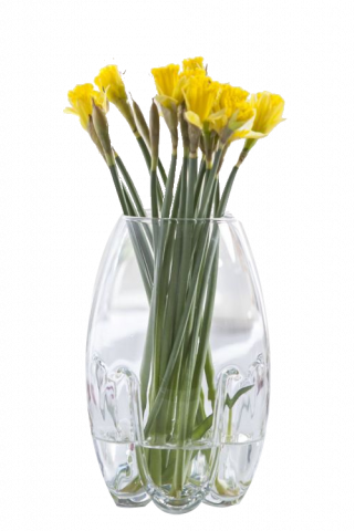 Стъклена ваза, 25 см - Вази