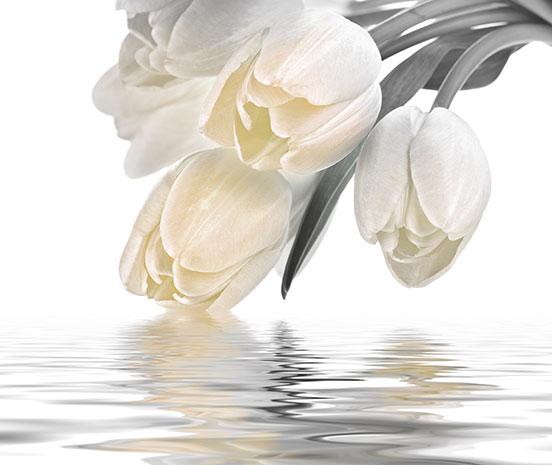 Декоративна фаянсова плочка Love Tulips Cream 50x60 см - Декор