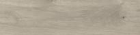 Гранитогрес Taiga 15.5x62 Grey