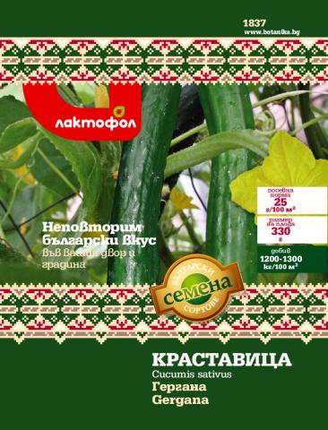 Български семена Краставица Гергана - 3 гр. - Семена за плодове и зеленчуци