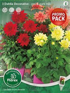 Луковици COMBO Далия Декоратив Pot&Park микс - Далии