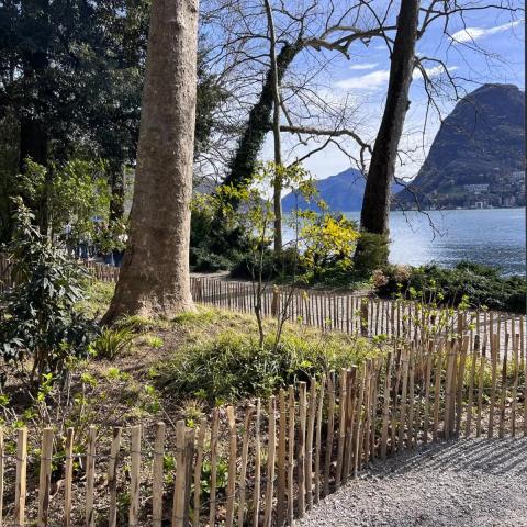 Градинска ограда от естествена леска HAZEL H=1.20м L=5.0м, снимка 5 - Ниски оградки