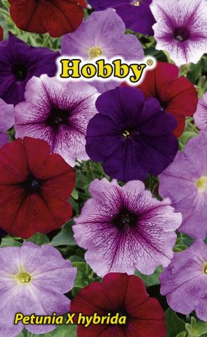 HOBBY семена петуния микс - Семена за цветя