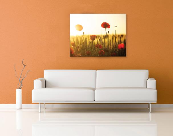 Картина Poppies in the Sunset 45x60 см, снимка 2 - Картини и рамки