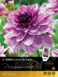 Луковици Premium Далия Creme de Cassis
