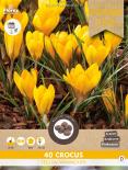 Луковици PP Минзухар Yellow Mammouth 40бр