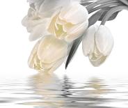 Декор Love Tulips Cream Set