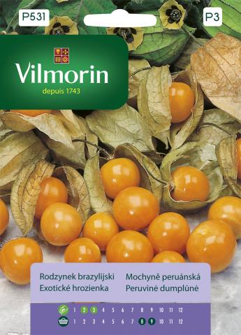 Физалис - Вилморин, снимка 2 - Семена за плодове и зеленчуци