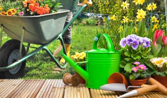 15 от най-красивите градински цветя, които да засадите тази пролет