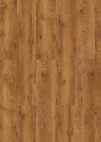 Ламинат 8 мм 4V WR Evolution Monteverdi Oak 63111 - Ламиниран паркет