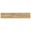 Гранитогрес Giornata 60x11 Oro